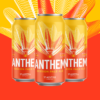 Anthem Session Pale Ale in a 24pk of cans